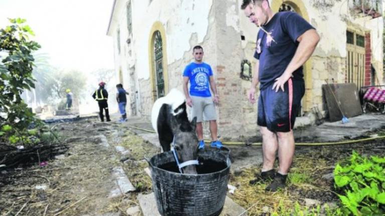 Llamas al límite del corazón urbano