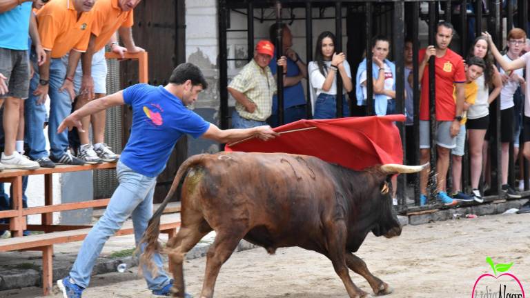 El toro, la seña de identidad