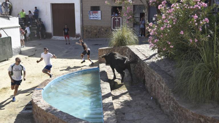 Arquillos se echa a la calle para disfrutar de su encierro Arquillos se echa a la calle para disfrutar de su encierro