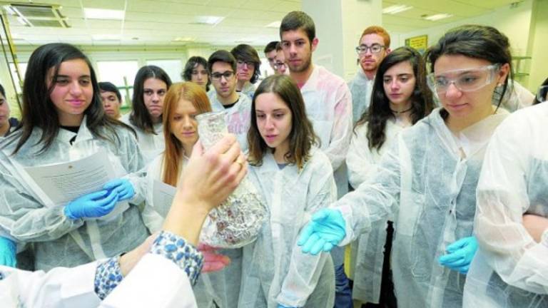 Reacciones químicas propias de un espectáculo de magia Reacciones químicas propias de un espectáculo de magia