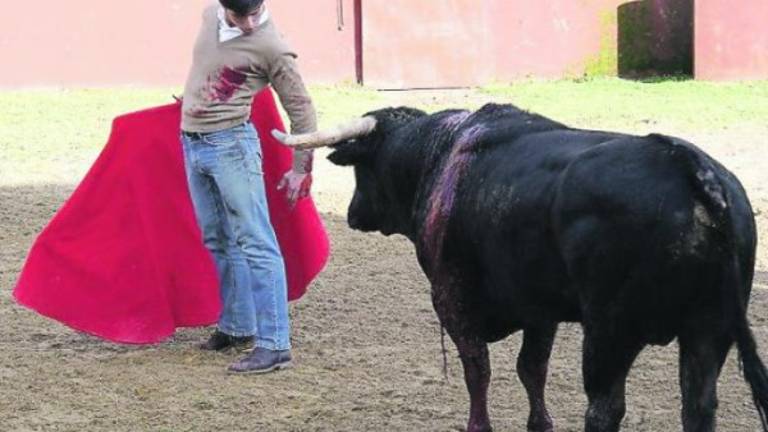 Nace en Vilches una peña taurina para Daniel García Nace en Vilches una peña taurina para Daniel García