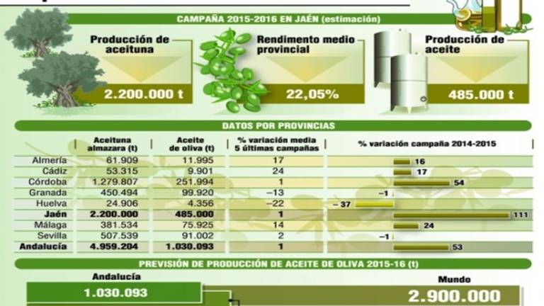 El aforo estima 485.000 toneladas y proyecta buen precio para el aceite El aforo estima 485.000 toneladas y proyecta buen precio para el aceite