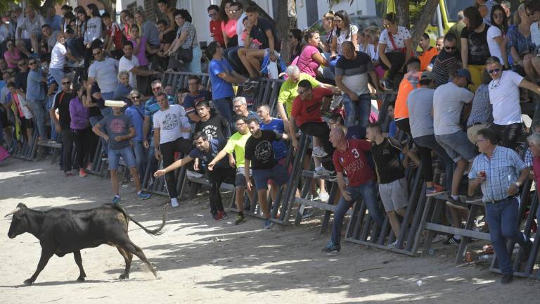 La suelta de vaquillas provoca el delirio total La suelta de vaquillas provoca el delirio total