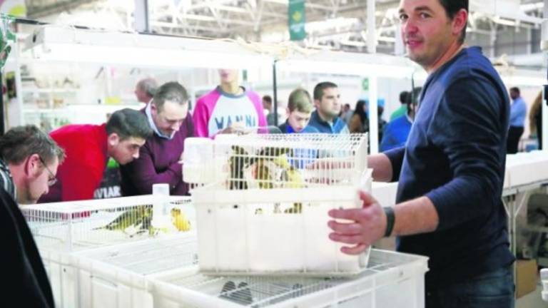 El Campeonato Ornitológico de España cierra la “jaula” del éxito El Campeonato Ornitológico de España cierra la “jaula” del éxito