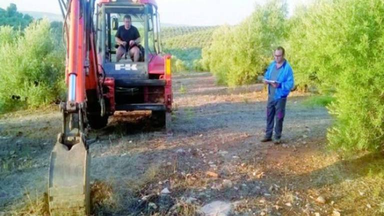 El pistacho cumple su primer año como alternativa al olivar El pistacho cumple su primer año como alternativa al olivar