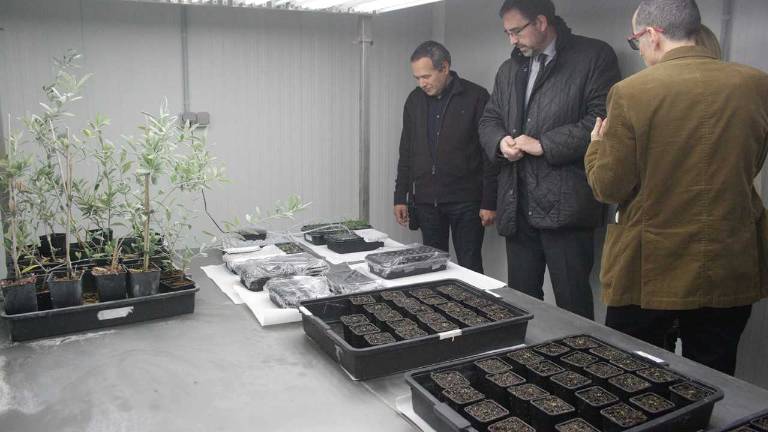 Un gran apoyo a la investigación Un gran apoyo a la investigación
