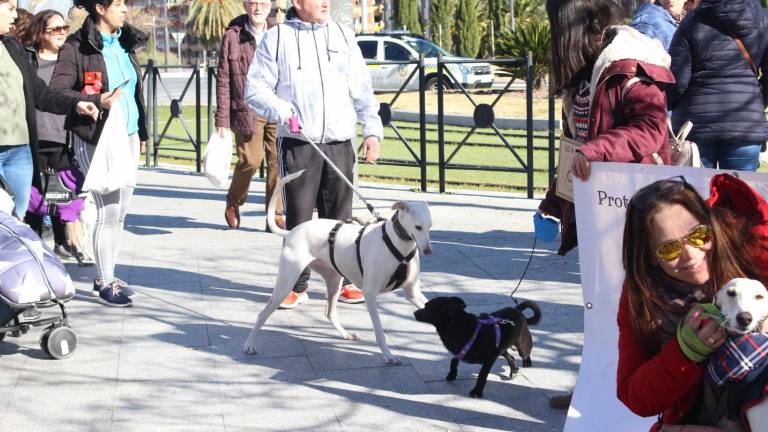 “No” mayúsculo a la caza con galgos u otras razas “No” mayúsculo a la caza con galgos u otras razas