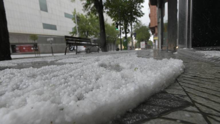 El olivar supera la tormenta de granizo sin daño en la floración El olivar supera la tormenta de granizo sin daño en la floración