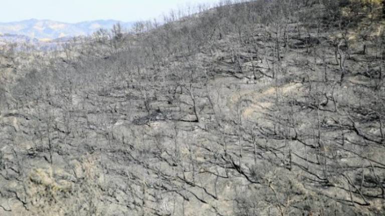 El Infoca da por “estabilizado” el incendio y el control ya está cerca