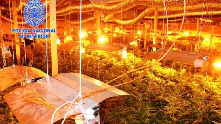 La gran fábrica de “maría” La gran fábrica de “maría”