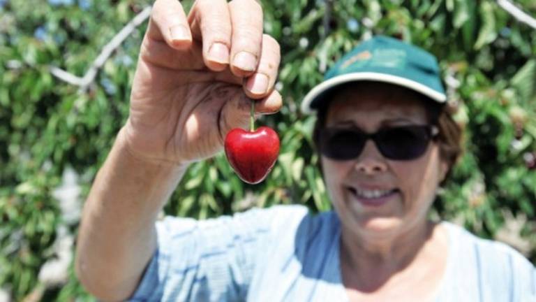 Un fruto con corazón que enamora a los sentidos