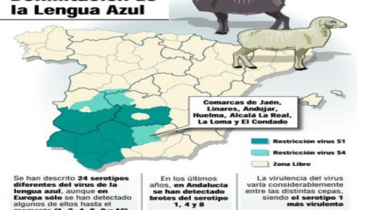 La restricción por lengua azul llega ya a siete comarcas