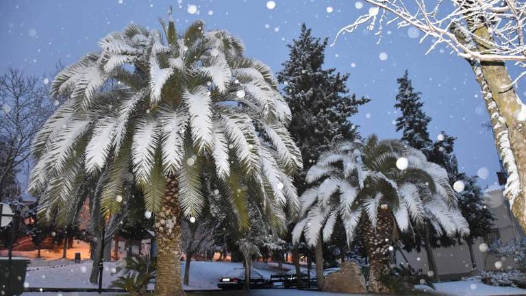 Todas las imágenes de la nieve en Jaén