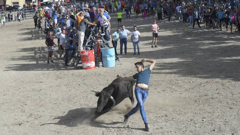 La suelta de vaquillas provoca el delirio total La suelta de vaquillas provoca el delirio total