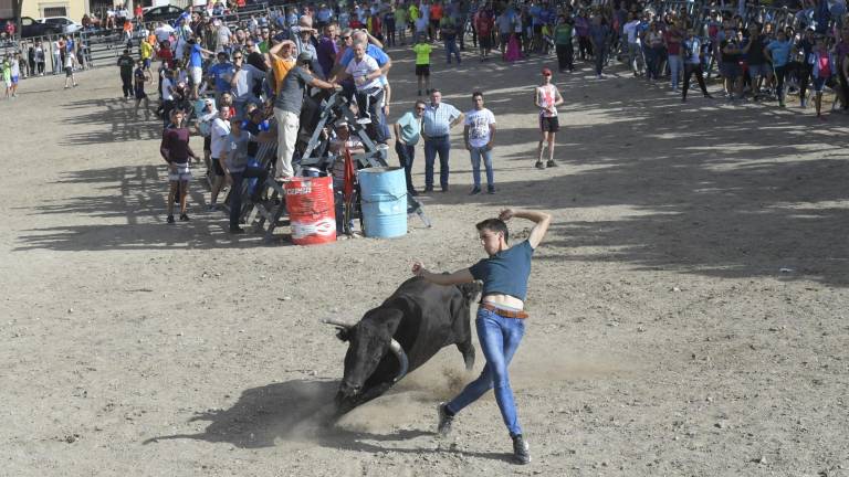 La suelta de vaquillas provoca el delirio total