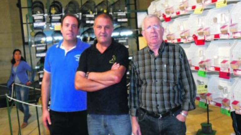 Más de 600 pájaros, a juicio Más de 600 pájaros, a juicio