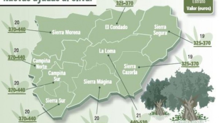 Las comarcas de Jaén salen bien paradas en el mapa de la PAC