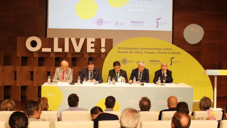 La comunidad científica avala al aceite como grasa saludable La comunidad científica avala al aceite como grasa saludable