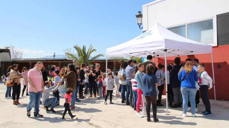 convivencia con caballos convivencia con caballos
