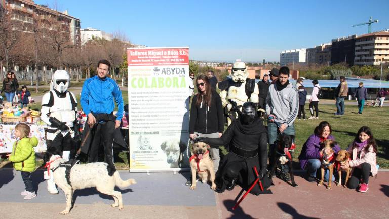 Los jiennenses prefieren adoptar