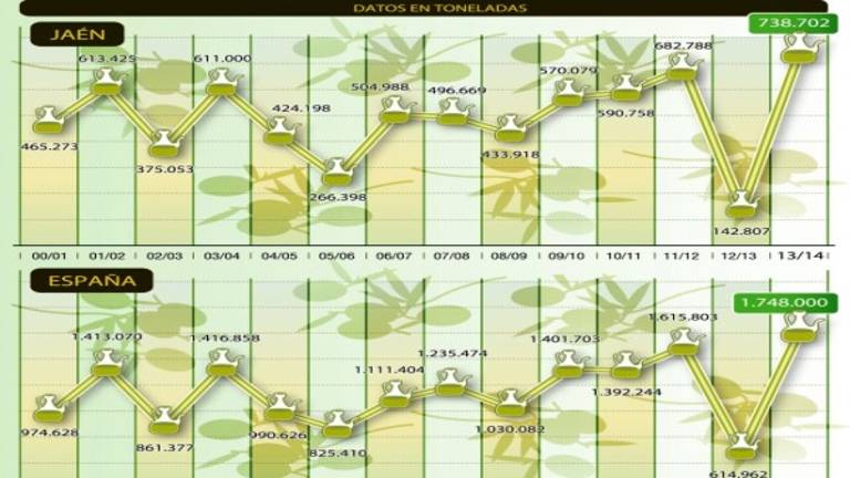 Cosecha récord de aceite con una producción de 738.702 toneladas Cosecha récord de aceite con una producción de 738.702 toneladas