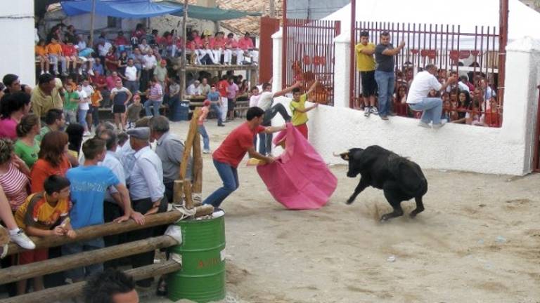 Los encierros taurinos de La Matea, epicentro de la fiesta