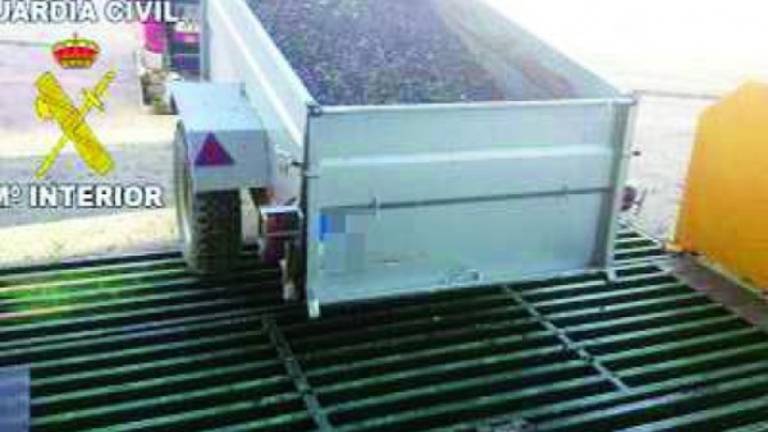 El robo de aceituna del vecino tosiriano supera los 3.000 kilos El robo de aceituna del vecino tosiriano supera los 3.000 kilos