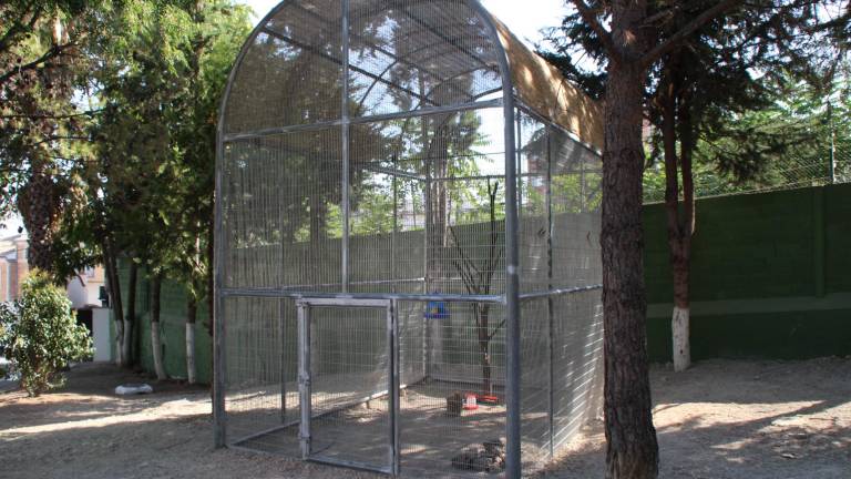 Instalación de una canariera en San Blas