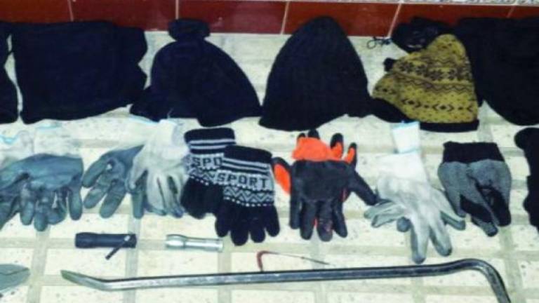 Seis detenidos por una oleada de robos en distintos negocios Seis detenidos por una oleada de robos en distintos negocios