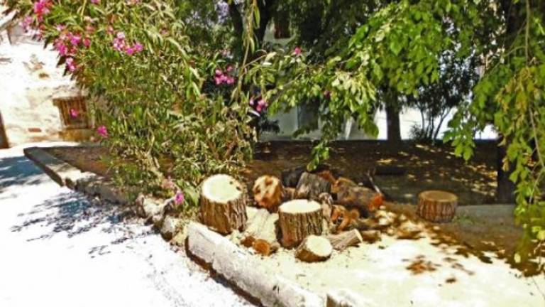 Malestar por la presencia de okupas en una calle Malestar por la presencia de okupas en una calle