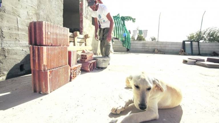 Por el calor de un hogar Por el calor de un hogar