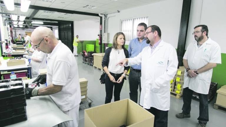 Acodis Iniciativas da trabajo a medio millar de personas Acodis Iniciativas da trabajo a medio millar de personas