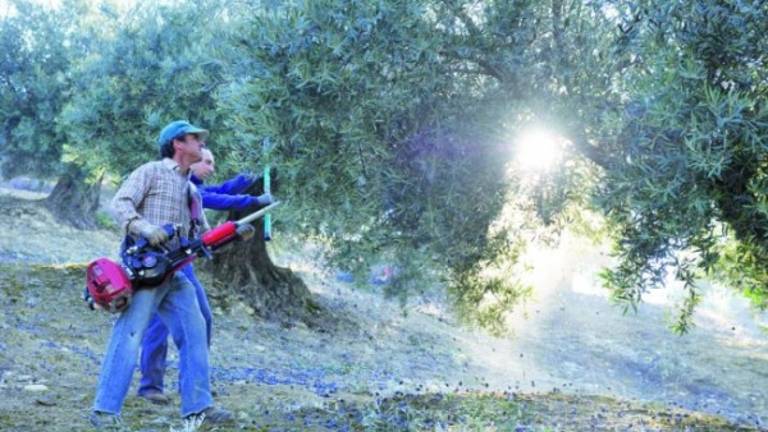 Veinte jornales para el paro agrario Veinte jornales para el paro agrario