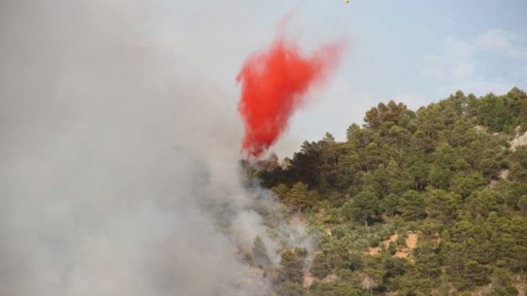Extinguido el incendio de La Puerta de Segura Extinguido el incendio de La Puerta de Segura