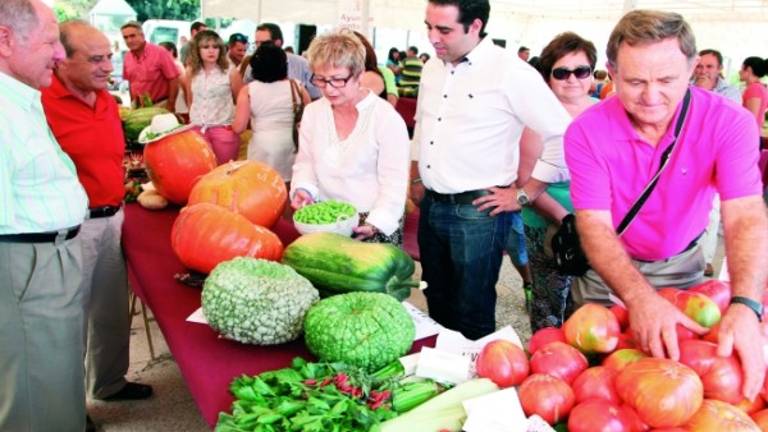 El concurso de hortalizas de Santa Ana consigue superarse El concurso de hortalizas de Santa Ana consigue superarse