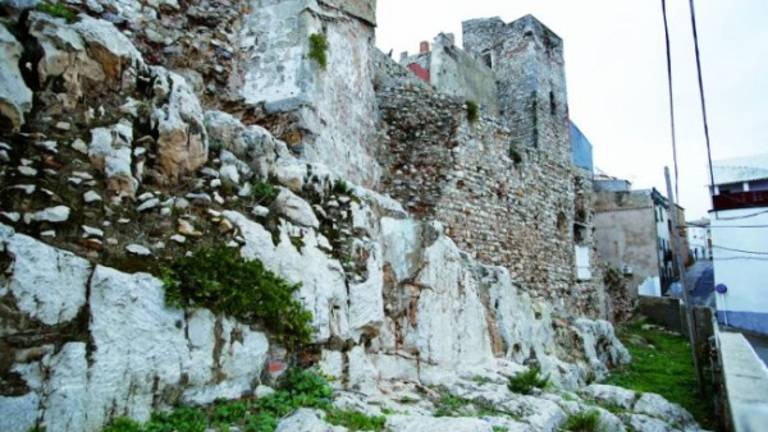 Comienza la limpieza del entorno de la torre Almedina Comienza la limpieza del entorno de la torre Almedina
