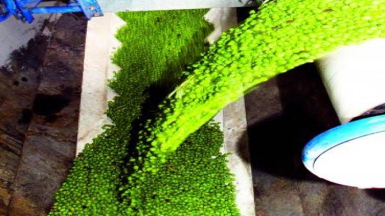 Las fábricas venden 16.000 camiones de aceite en solo un año Las fábricas venden 16.000 camiones de aceite en solo un año