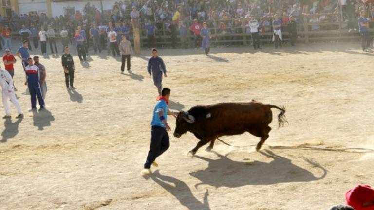 Fallece el herido grave por un toro en San Marcos de Arroyo del Ojanco Fallece el herido grave por un toro en San Marcos de Arroyo del Ojanco