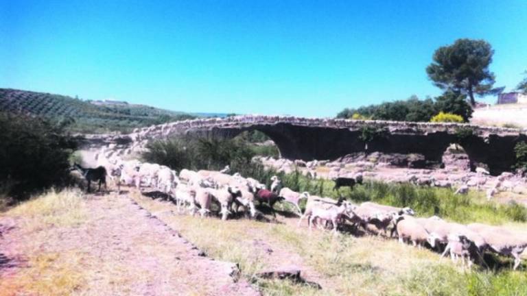 La Junta resucita el Puente Mocho