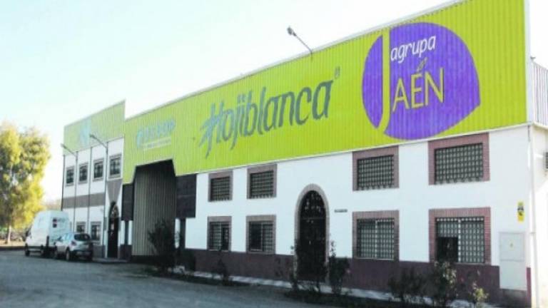 Dcoop repasa cómo invertir los millones de Hojiblanca Dcoop repasa cómo invertir los millones de Hojiblanca