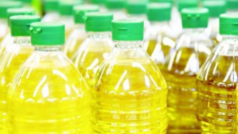 El girasol se etiqueta con el cáncer El girasol se etiqueta con el cáncer