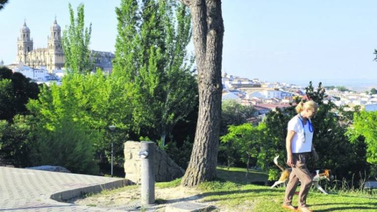 A pedradas contra las ardillas A pedradas contra las ardillas