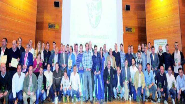 Las fiesta de los técnicos provinciales Las fiesta de los técnicos provinciales
