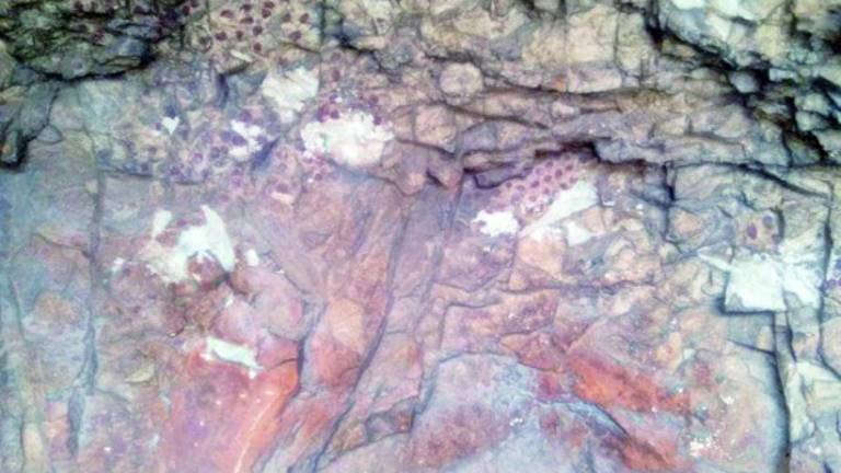 Arrancan y destrozan varias de las pinturas rupestres de Otíñar Arrancan y destrozan varias de las pinturas rupestres de Otíñar