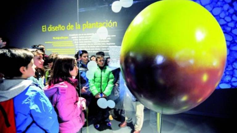 El Museo Terra Oleum registra 4.000 visitas El Museo Terra Oleum registra 4.000 visitas