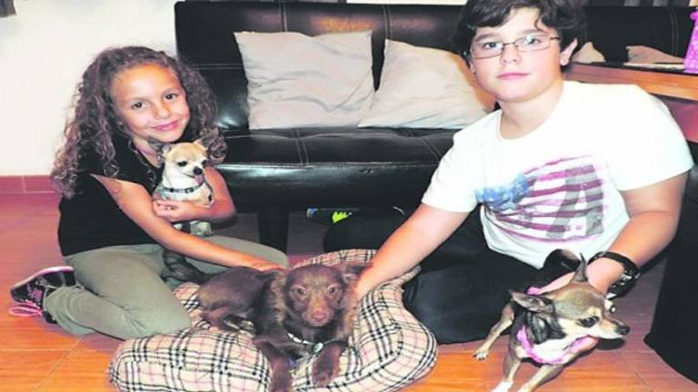 Del abandono a ser elegida por una familia de Noruega Del abandono a ser elegida por una familia de Noruega