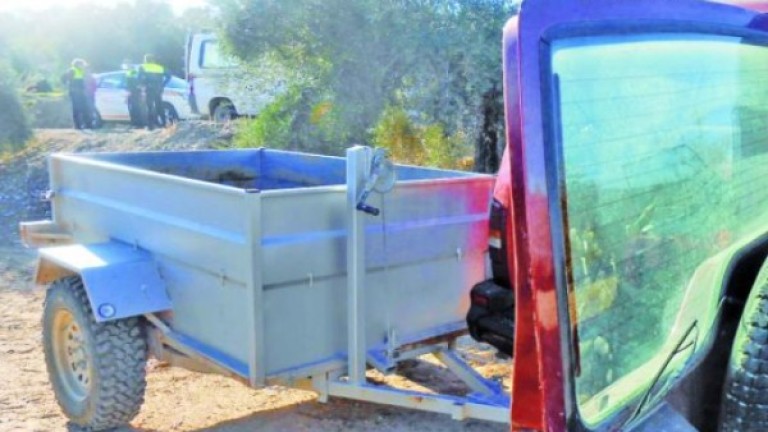 Detenido en Torredonjimeno por robar 700 kilos de aceituna