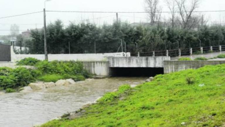 La suciedad del cauce del Mestanza genera alarma La suciedad del cauce del Mestanza genera alarma