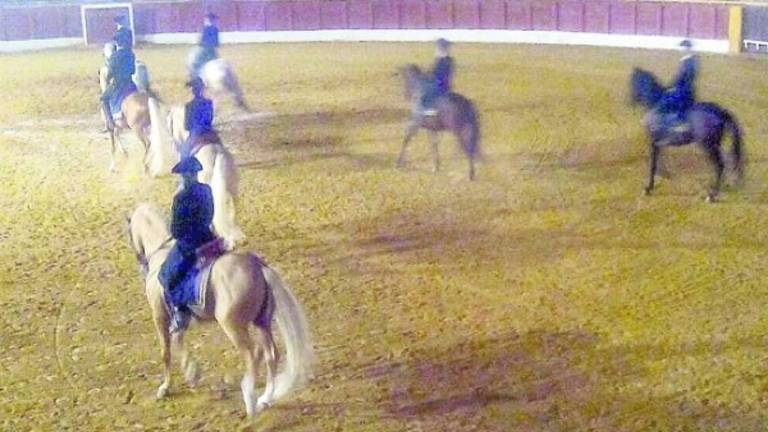 Maestría equina en el ruedo Maestría equina en el ruedo