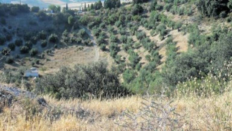 Los Capachos, espectaculares cráteres en Ermita Nueva